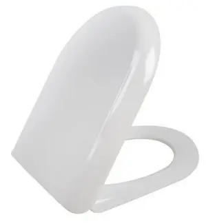 Toilet Seat  Massive